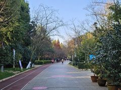 -洛龙公园