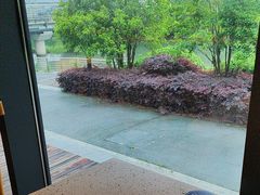 -东园小馆·早茶·淮扬小炒(水街店)