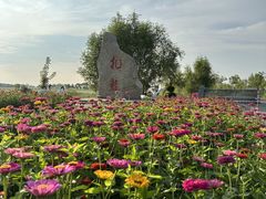 -黑龙江扎龙生态旅游区