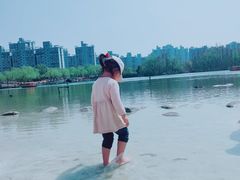 -大宁郁金香公园-停车场