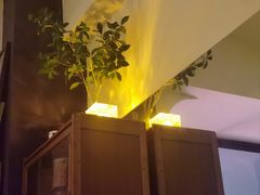 -Mx.cocktail bar