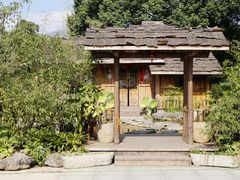-南山植物园