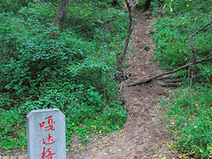 -大青沟风景区