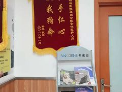 -宠福鑫动物医院(城北分院)