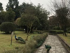 -天赐温泉