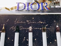 -Dior迪奥(上海世茂广场店)