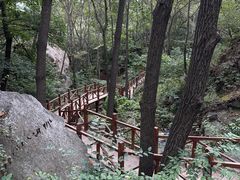 -大岭沟猕猴桃谷风景区