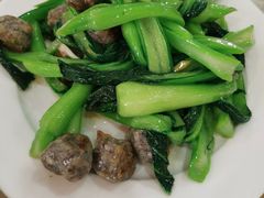 鲮鱼丸炒迟菜心-文海饭店(朝阳路店)