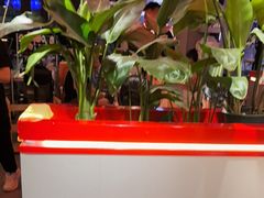 -遇西祠·海鲜烧烤(总店)