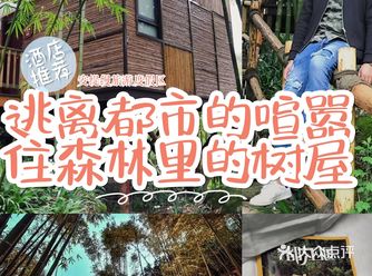 成都周边游攻略｜去安缇缦度假酒店，住进森林里
