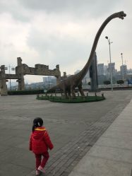-恐龙探索乐园(磁器口店)
