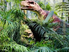 -国家植物园南园