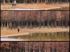-番禺大夫山森林公园