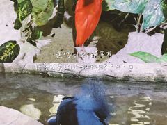 -海合安武汉极地海洋公园