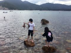 -杨梅坑
