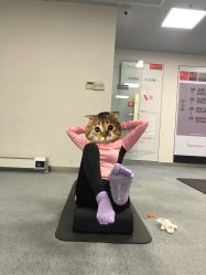 -意施精准塑形普拉提