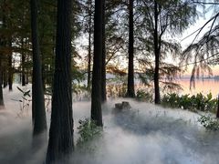 -东湖落雁景区
