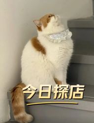 -蚂蚁造型俱乐部