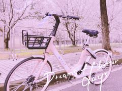 -同济大学(嘉定校区)