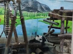 -柳州市动物园