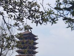 -缙云山景区