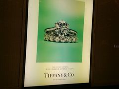 -Tiffany & Co.蒂芙尼
(天津万象城店)