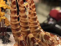-鲜入围煮花胶鸡海鲜火锅