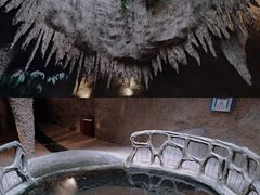 -南山植物园