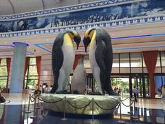 -广东省拱北口岸中国旅行社(华宾营业部)