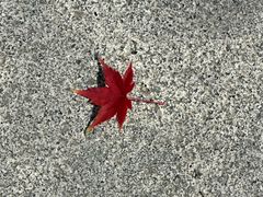 -苏州现代传媒广场商业