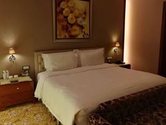 -上海浦东星河湾酒店