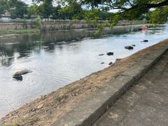 -杭州双溪漂流景区
