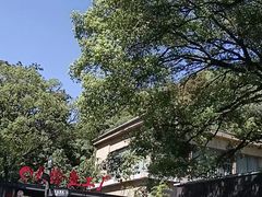 -天怡·鱼工厂(梅溪湖店)