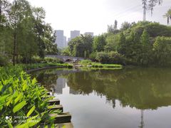 -重庆彩云湖湿地公园