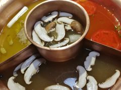 -老诚一锅羊蝎子(黄寺大街店)