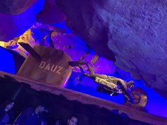 -迪拜水族馆及水下动物园