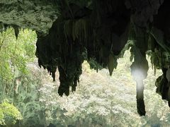 -三门海