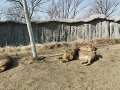 -北京野生动物园