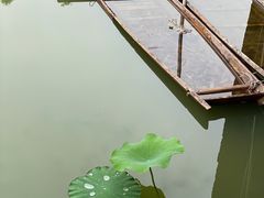 -莫催咖啡