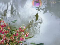 -人民公园(罗湖区)