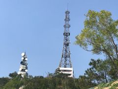 -板樟山森林公园