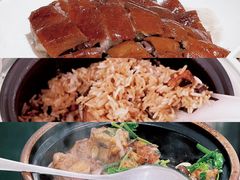 -椿记烧鹅(叠彩店)