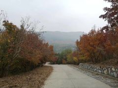 -香山公园