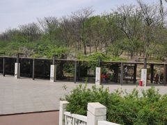 -南翠屏公园