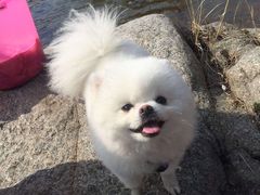 -关爱动物医院·心脏·中兽医·异宠(金牛路分院)