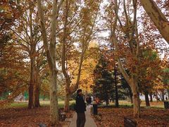 -国家植物园南园