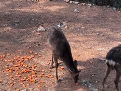 -昆明动物园