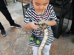 -西安秦岭野生动物园