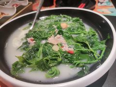 -羽鸽集·乳鸽专门店·地道顺德菜(岭南站店)