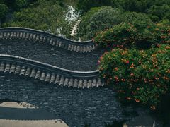 -朴园